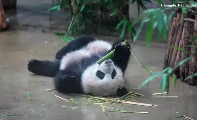 影片截圖 CGTN圖片