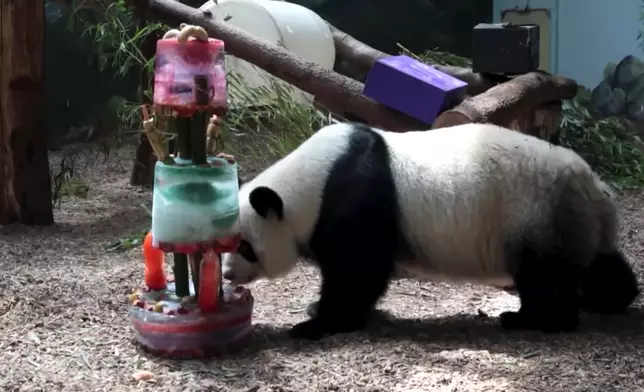 影片截圖 CGTN圖片