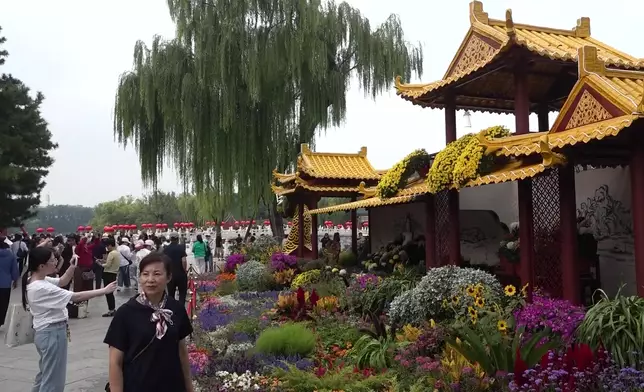 影片截圖 CGTN圖片