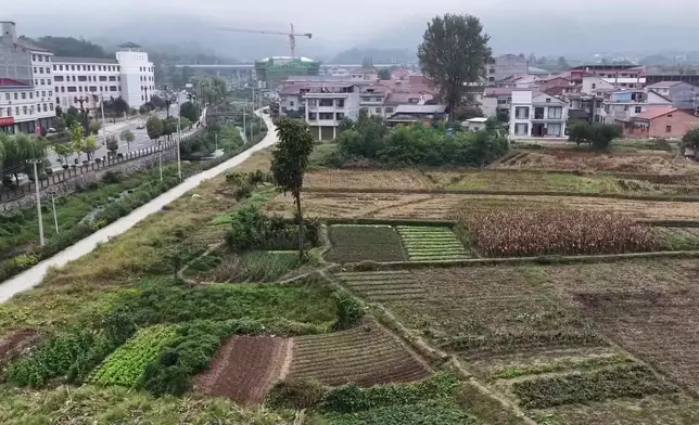 影片截圖 CGTN圖片