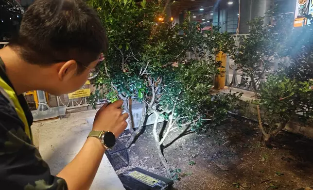 康文署夜巡大隴街休憩花園監察鼠蹤 檢視連日滅鼠成效