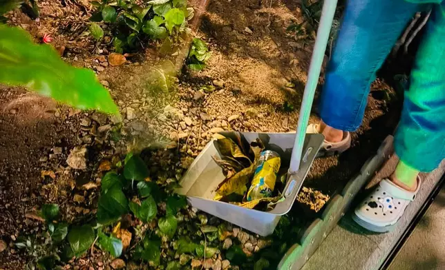 康文署夜巡大角咀道櫻桃街小園地 聯同食環署專家檢視滅鼠成效。康文署FB圖片