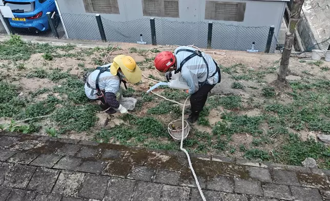 康文署聯同建築署巡查大隴街休憩花園 研究防鼠滅鼠措施