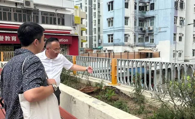康文署聯同食環署建築署巡查大隴街休憩花園 檢視防鼠措施