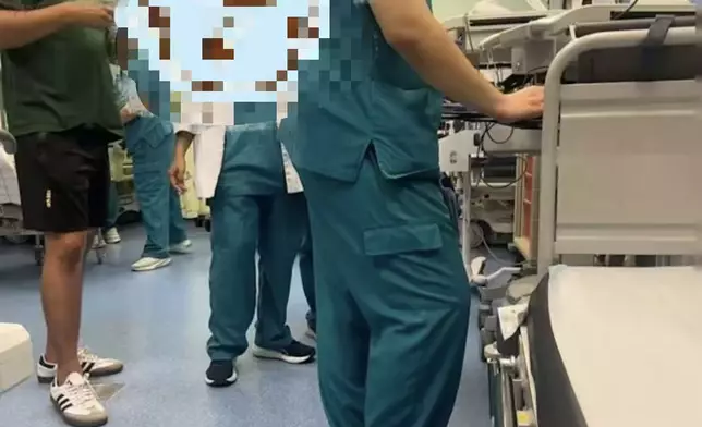 女童在新加坡博物館附近散步遭蛇咬至腳踝紅腫被送院治理，經確認為無毒網紋蟒。網上圖片