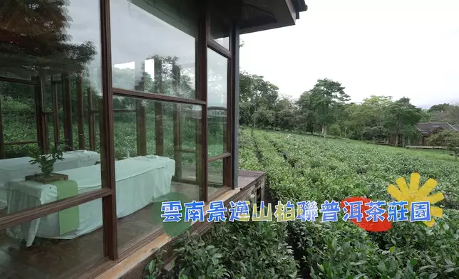 特意為Venus安排的按摩時段。