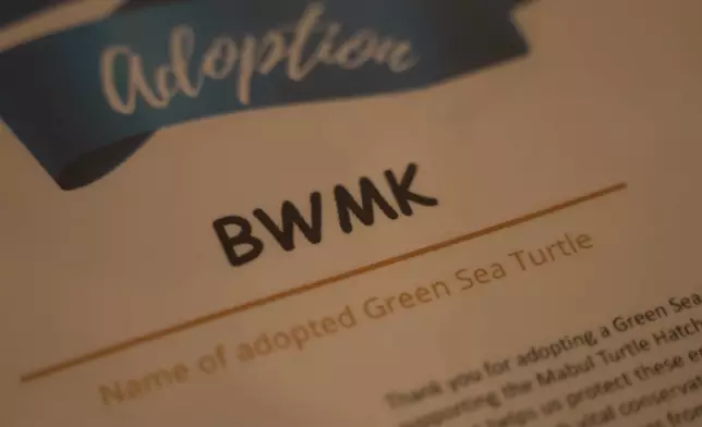 也也助養的小海龜改名「BWMK」。
