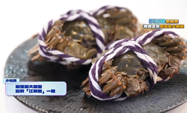 陽澄湖大閘蟹屬於其中一種江蘇蟹。