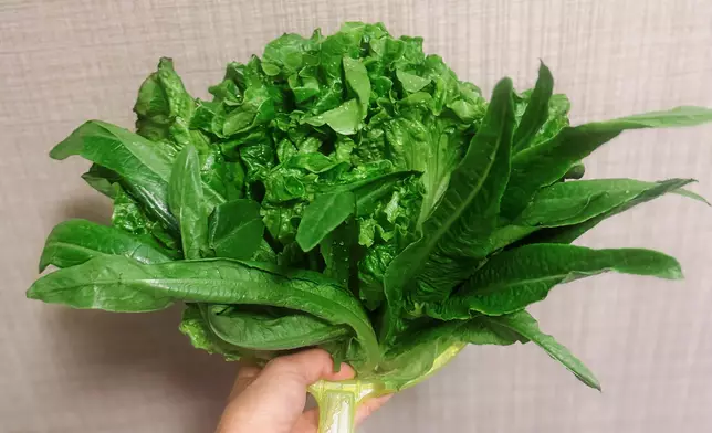 黃心穎IG圖片