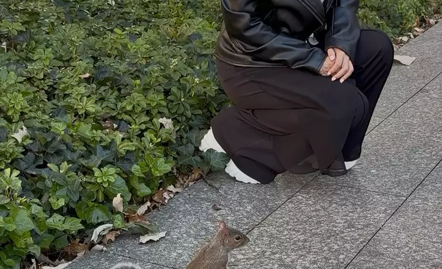 盼以詩歌為面對生活壓力的都市人帶來安慰。
