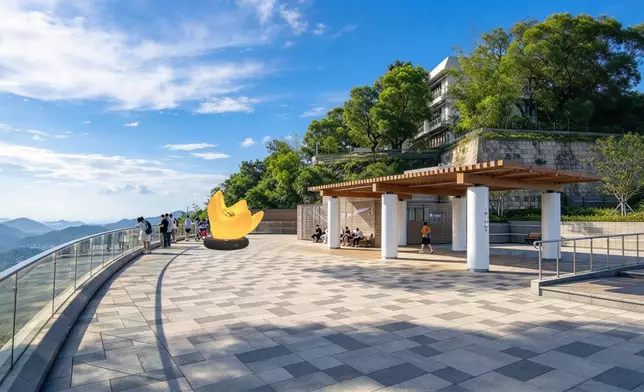 日夜景致各有不同，白天時鮮黃的花瓣在陽光下顯得明亮奪目
