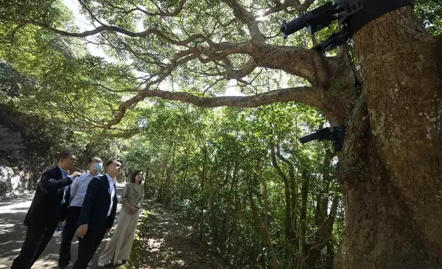 旅遊事務專員與議員實地視察山頂光影匯 承諾即時改善減居民疑慮