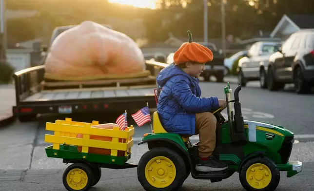 2026年10月12日周一，6歲的邁爾斯駕車經過一個將參加加州半月灣Safeway世界南瓜秤重錦標賽的巨型南瓜。(美聯社圖片/Jeff Chiu) AP圖片