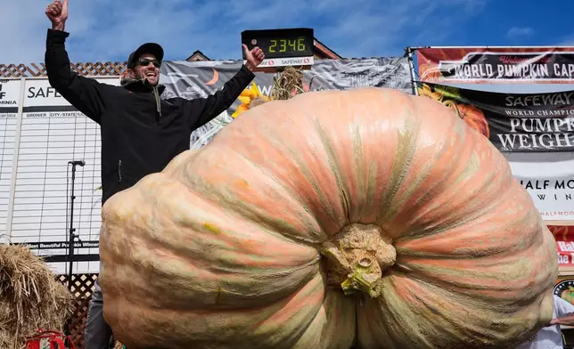 檔案圖片：2025年10月13日，布蘭登·道森（左）在加州半月灣贏得Safeway第52屆世界南瓜秤重錦標賽後慶祝。(美聯社圖片/Godofredo A. Vásquez) AP圖片