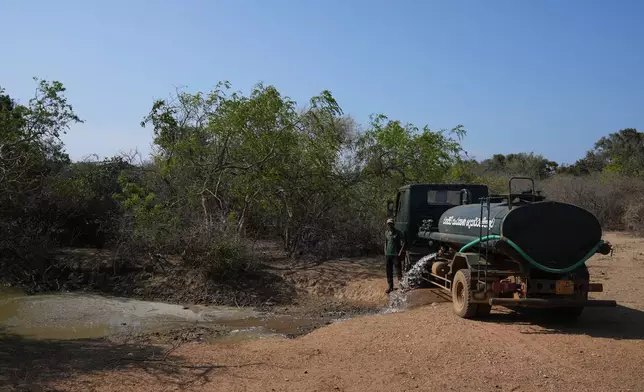 一輛水車在斯里蘭卡雅拉的雅拉國家公園內，於旱災期間為動物池塘注水。攝於2026年9月11日周五。(美聯社圖片/Eranga Jayawardena) AP圖片