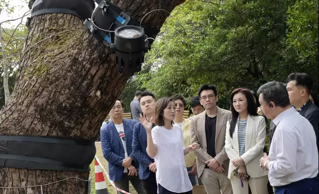 旅遊事務專員與中西區區議會視察山頂光影匯項目。文體旅局fb圖片