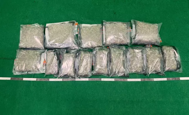 檢獲的懷疑大麻花。政府新聞處圖片