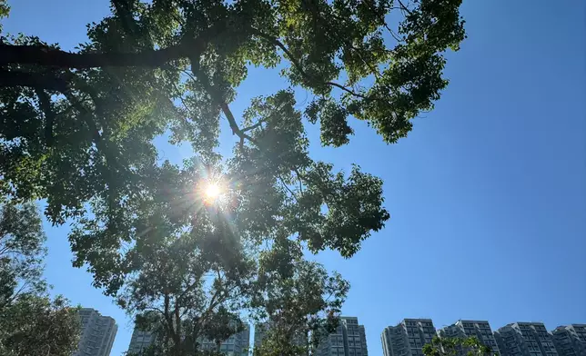 天氣。巴士的報記者攝