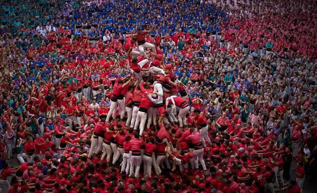 Castellers Joves de Valls隊成員，在2026年10月4日周日西班牙塔拉戈納舉行的第三十屆疊人塔比賽中，嘗試搭建「疊人塔」時跌倒。(美聯社圖片/Emilio Morenatti) AP圖片