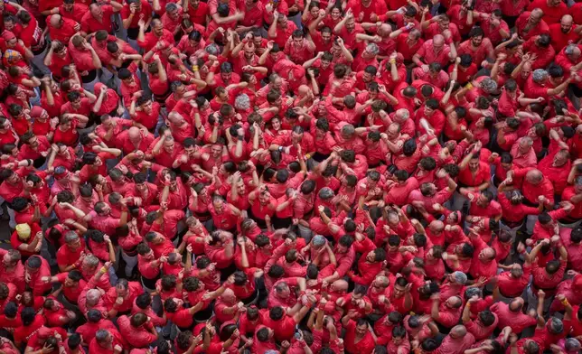 Castellers Joves de Valls隊成員，在2026年10月4日周日西班牙塔拉戈納舉行的第三十屆疊人塔比賽中，完成「疊人塔」後慶祝。(美聯社圖片/Emilio Morenatti) AP圖片