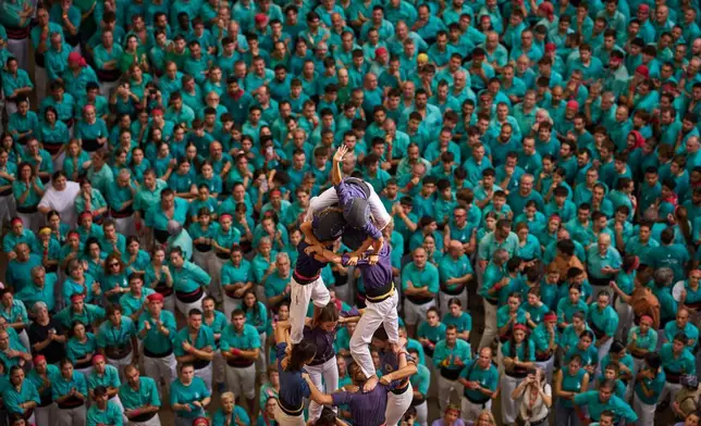Castellers Jove de Tarragona隊成員，在2026年10月4日周日西班牙塔拉戈納舉行的第三十屆疊人塔比賽中，搭建「疊人塔」。(美聯社圖片/Emilio Morenatti) AP圖片