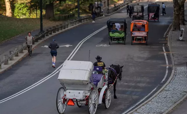 2026年10月14日周三，一輛馬車載客遊覽紐約中央公園。(美聯社圖片/Yuki Iwamura) AP圖片