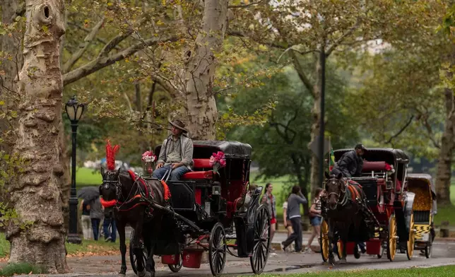 2026年10月14日周三，紐約中央公園有馬車提供遊覽服務。(美聯社圖片/Yuki Iwamura) AP圖片
