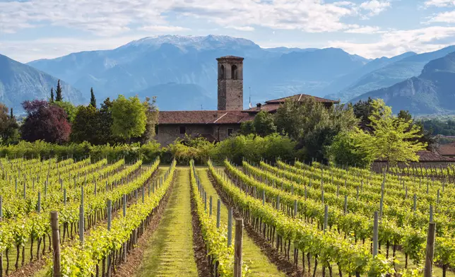 Franciacorta（馥奇達）葡萄園風光