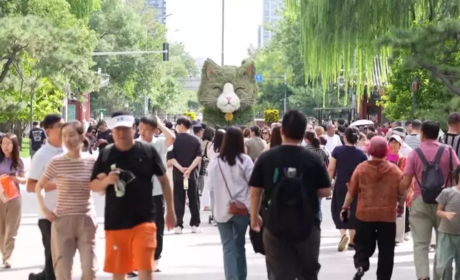 影片截圖 CGTN圖片