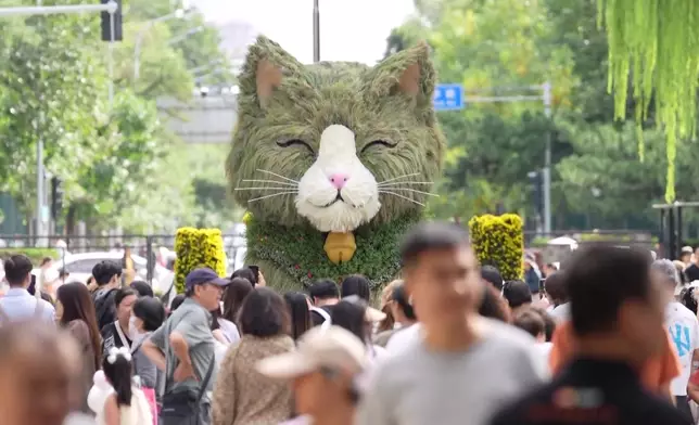 影片截圖 CGTN圖片