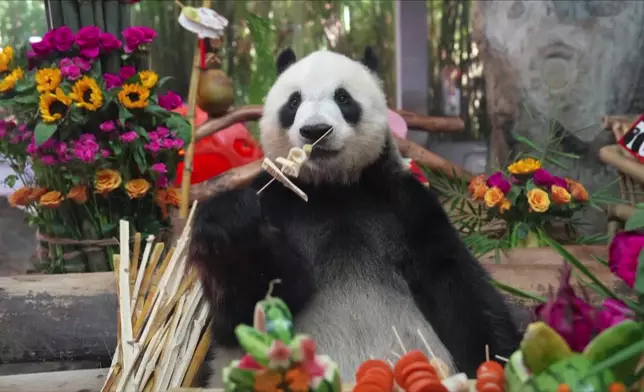 影片截圖 CGTN圖片