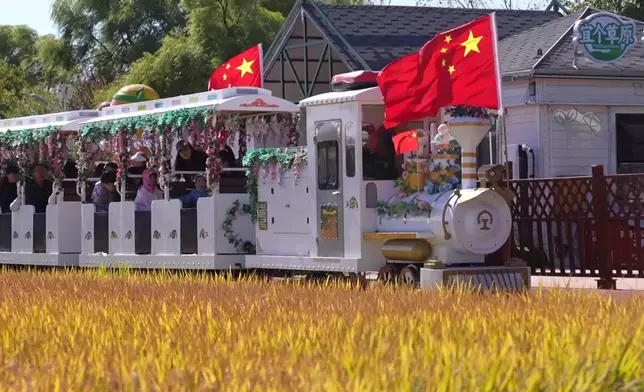 影片截圖 CGTN圖片
