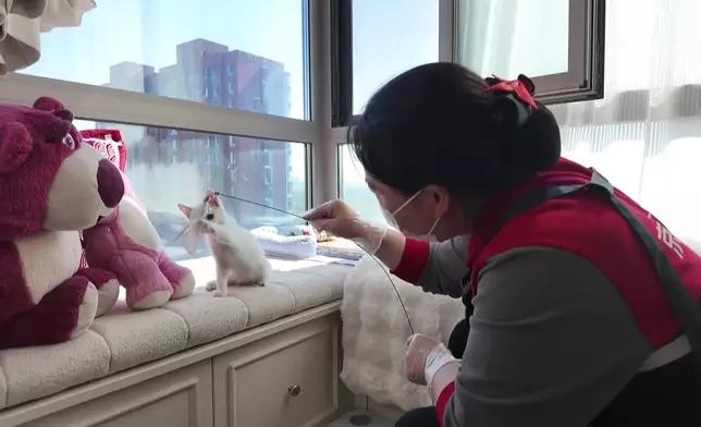 影片截圖 CGTN圖片