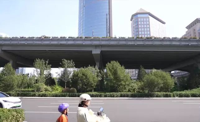影片截圖 CGTN圖片