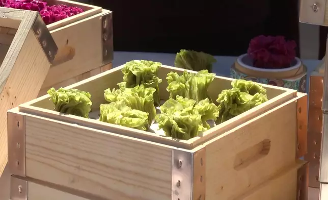影片截圖 CGTN圖片