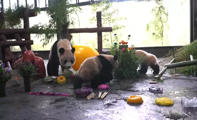 影片截圖 CGTN圖片