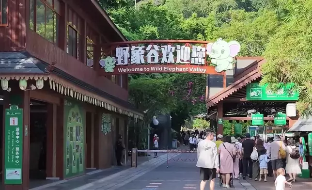 影片截圖 CGTN圖片