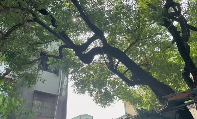 影片截圖 CGTN圖片