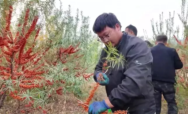 影片截圖 CGTN圖片
