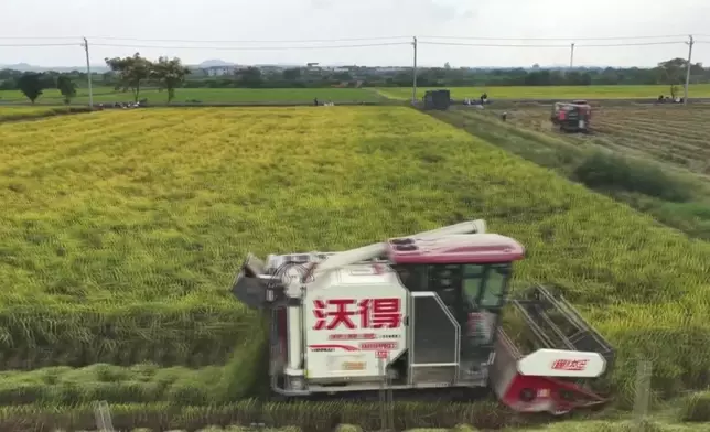 影片截圖 CGTN圖片