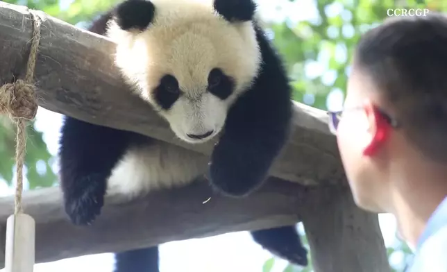 影片截圖 CGTN圖片