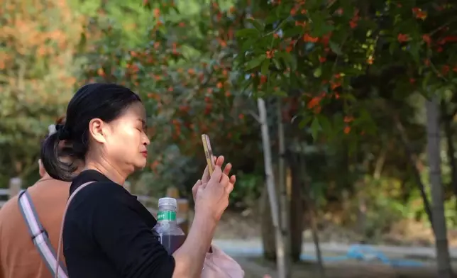 影片截圖 CGTN圖片
