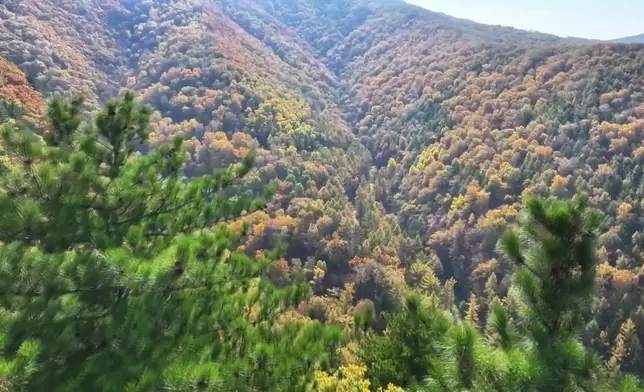 影片截圖 CGTN圖片