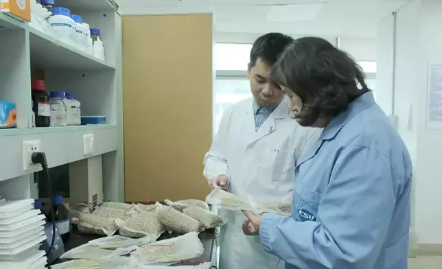 影片截圖 CGTN圖片