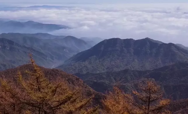 影片截圖 CGTN圖片