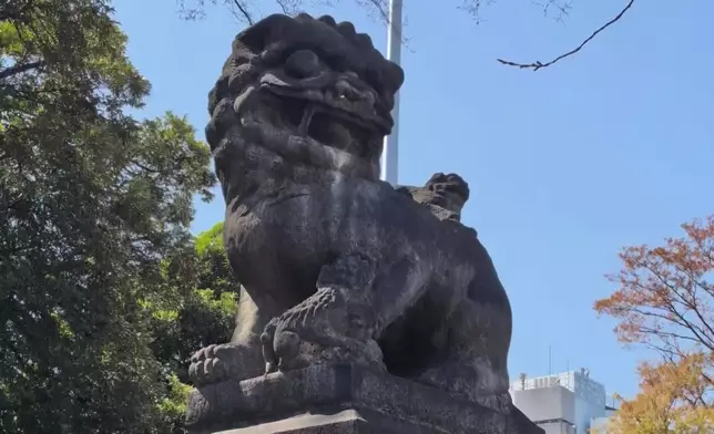 影片截圖 CGTN圖片