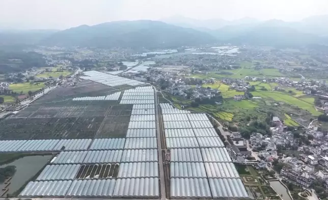 影片截圖 CGTN圖片