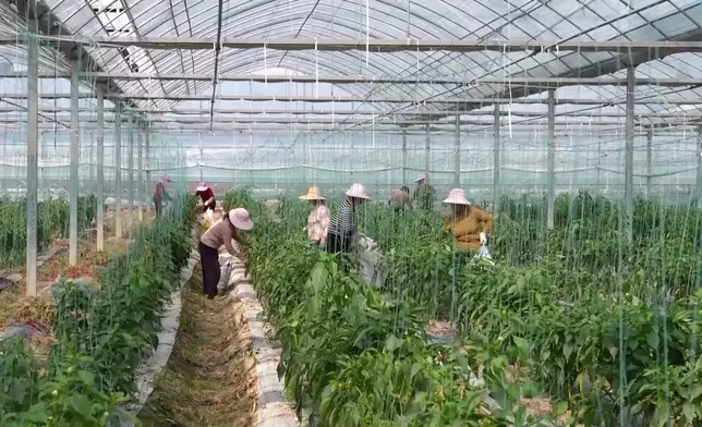影片截圖 CGTN圖片