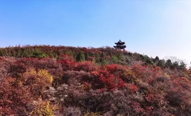 影片截圖 CGTN圖片