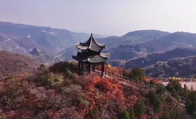 影片截圖 CGTN圖片